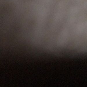 Meet your Posher, Ronald